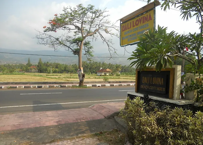 Bali 3*