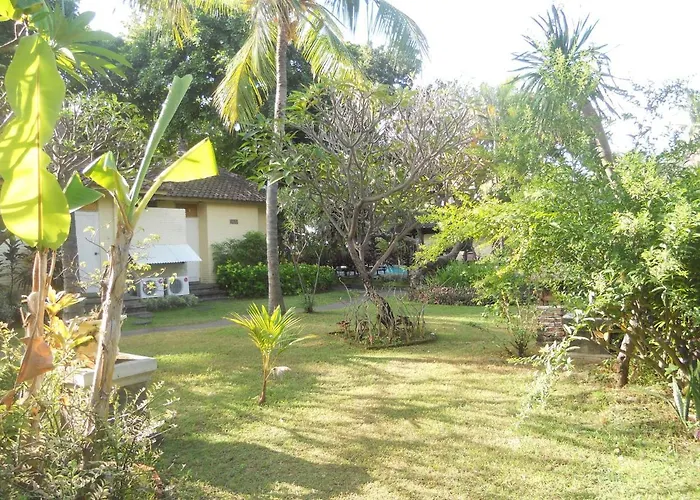 Bali Hotel 3*